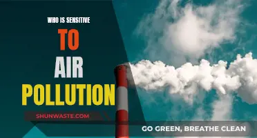 Air Pollution: Who Suffers Most?