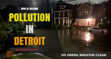 Detroit's Pollution Crisis: Meet the Innovators Driving Change and Solutions