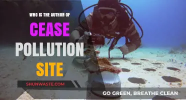 Unveiling the Creator Behind the Cease Pollution Site: Who is the Author?