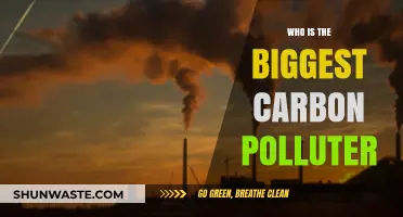Unveiling the Top Carbon Polluter: Industries, Nations, and Solutions