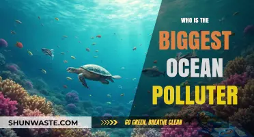 Unveiling the Top Culprits Behind Devastating Ocean Pollution Crisis