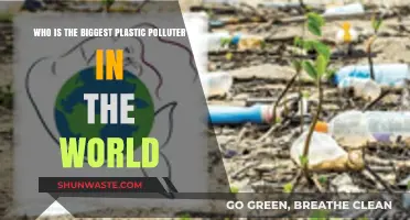 Unveiling the World's Top Plastic Polluter: A Global Environmental Crisis
