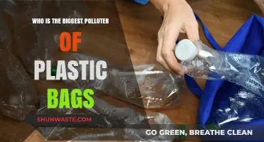 Unveiling the Top Culprit Behind Global Plastic Bag Pollution Crisis