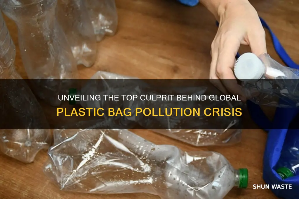 who is the biggest polluter of plastic bags