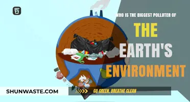 Unveiling the Top Culprits Behind Global Environmental Pollution