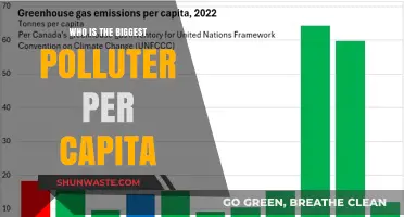 Per Capita Pollution: Unveiling the World's Biggest Environmental Offenders