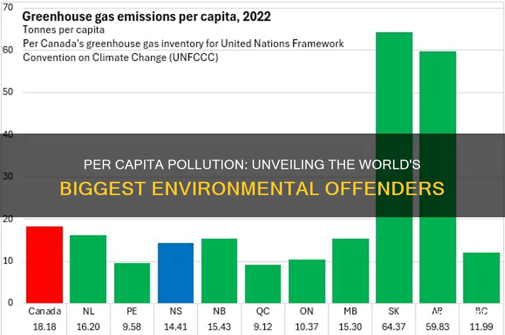who is the biggest polluter per capita