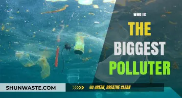 Unveiling the Top Culprits: Who Pollutes Our Planet the Most?