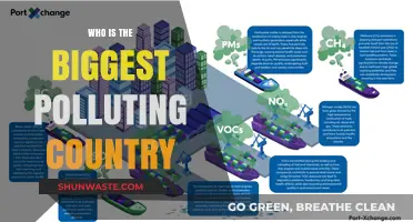 Global Emissions Showdown: Which Country Pollutes the Most?