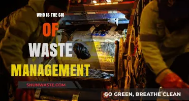 Exploring the Role of the CIO at Waste Management: A Comprehensive Overview