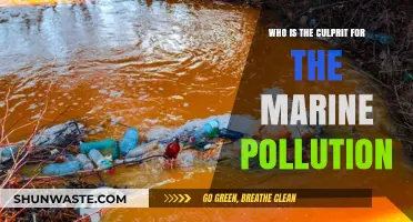 Unveiling the Hidden Culprits Behind Devastating Marine Pollution Crisis