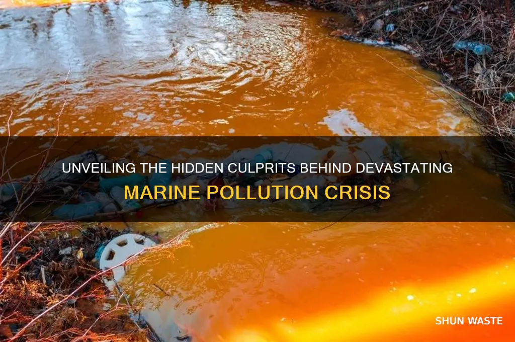 who is the culprit for the marine pollution