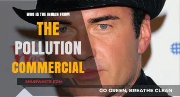 Unveiling the Face Behind India's Iconic Pollution Commercial