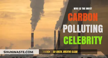 Celebrities and Carbon Footprints: Who's the Biggest Polluter?