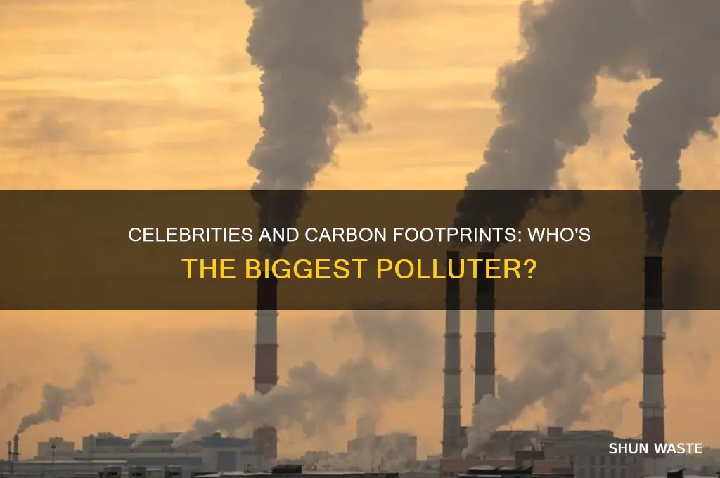 who is the most carbon polluting celebrity