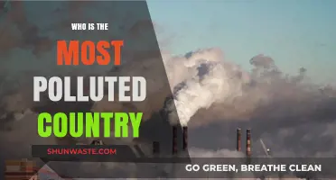 Revealed: The World's Most Polluted Country and Its Environmental Crisis