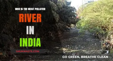 India's Most Polluted River: Unveiling the Environmental Crisis