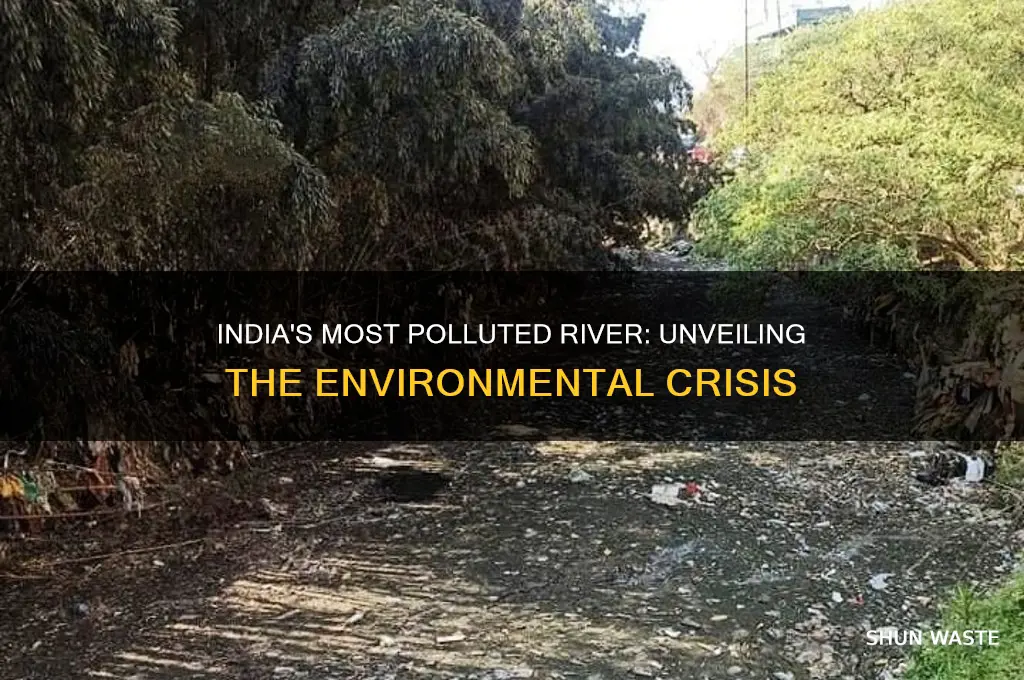who is the most polluted river in india