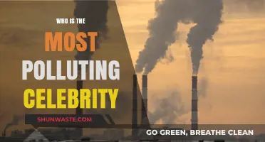 The Carbon Footprint of Fame: Most Polluting Celebrities Revealed