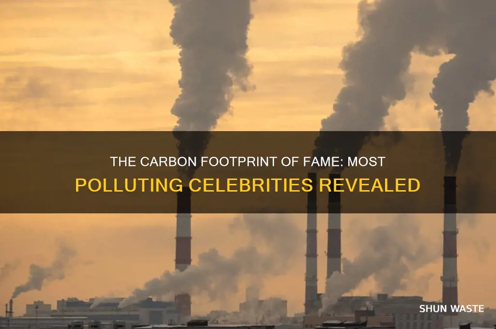 who is the most polluting celebrity