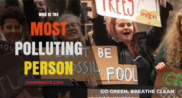 Unveiling the World's Top Polluter: A Surprising Individual Impact