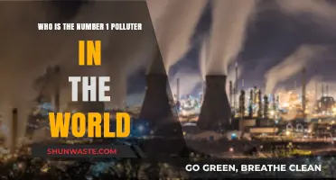 Unveiling the World's Top Polluter: A Startling Environmental Reality