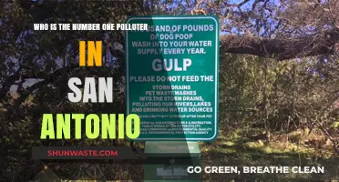 San Antonio's Top Polluter: Unveiling the City's Environmental Culprit