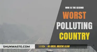 Identifying the Second Largest Contributor to Global Pollution