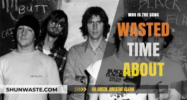 Unraveling the Mystery: Who Inspired 'Wasted Time'?