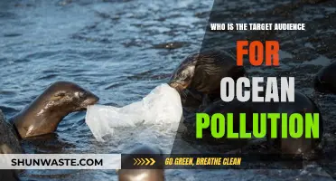 Understanding Ocean Pollution: Who is Most Affected and Why?