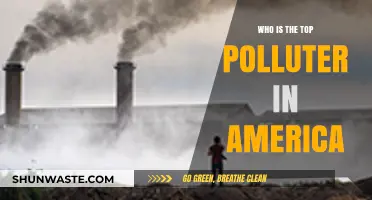 America's Top Polluter: Unveiling the Biggest Environmental Culprit