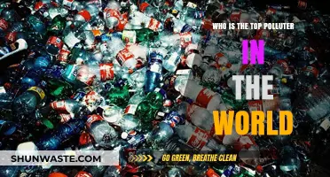 Unveiling the World's Top Polluter: A Global Environmental Culprit