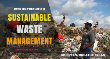 Global Pioneers in Sustainable Waste Management: Leading the Charge