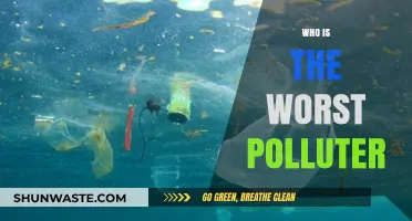 Unveiling the Top Environmental Culprits: Who Pollutes the Most?