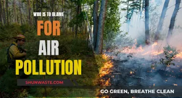 The Blame Game: Air Pollution's Culprits