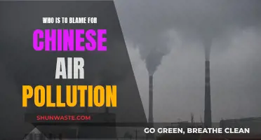 China's Pollution Crisis: Who's to Blame?