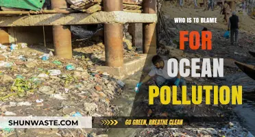 Ocean Pollution Crisis: Who Bears Responsibility for Our Dying Seas?