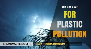Unraveling Responsibility: Who's Truly Behind the Plastic Pollution Crisis?