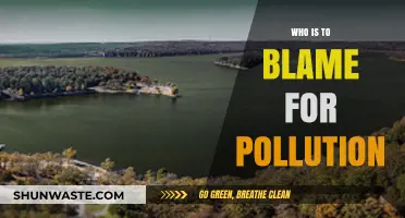 Unveiling the Culprits: Who Bears Responsibility for Global Pollution?