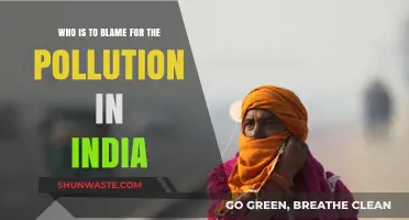 India's Pollution Crisis: Who Bears Responsibility for the Environmental Degradation?