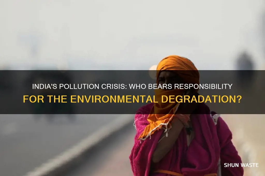 who is to blame for the pollution in india
