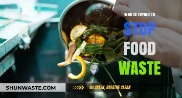 Champions Against Food Waste: Uniting to Curb a Global Issue