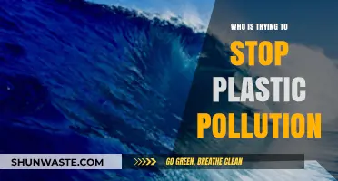 Unveiling Heroes: Who's Leading the Fight Against Plastic Pollution?