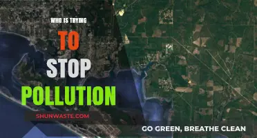 Who's Fighting Pollution? Key Players Leading the Global Cleanup Effort