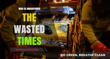 Unveiling the Truth: Undercover in the Wasted Times