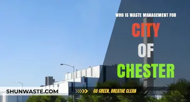 Chester's Waste Management: Who's Responsible for Keeping Our City Clean?