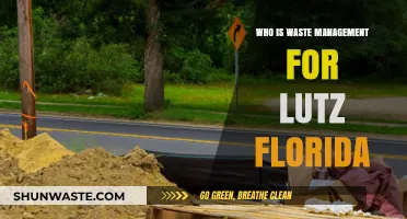 Exploring Waste Management Services in Lutz, Florida