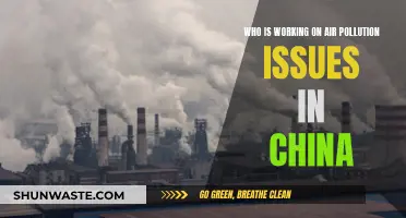 China's Air Pollution: Who's Taking Action?
