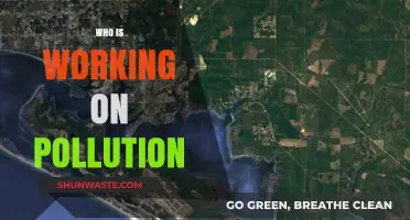 Global Efforts: Organizations and Individuals Combating Pollution Worldwide