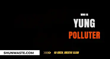 Unveiling Yung Polluter: The Controversial Artist's Identity and Impact